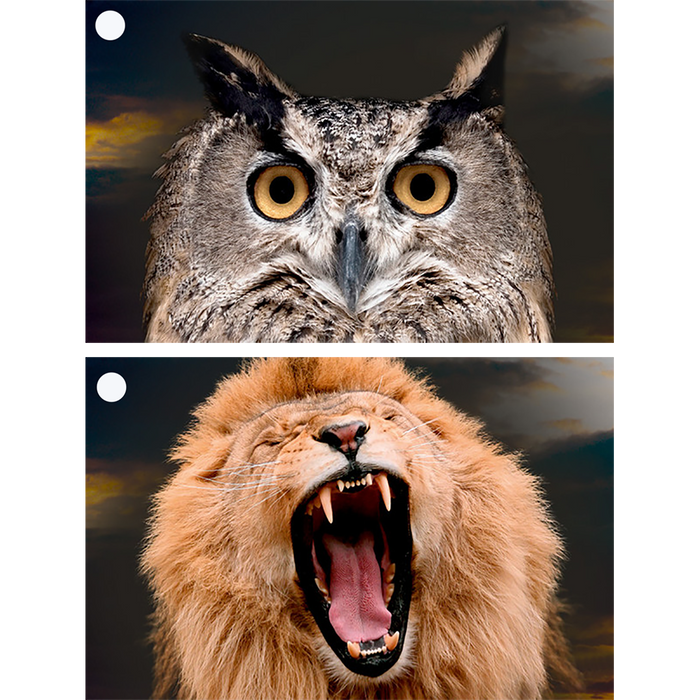 2 Morph Gift Tags - Owl to Man & Lion to Man -  Motion Lenticular Gift Tags Cards - NEW