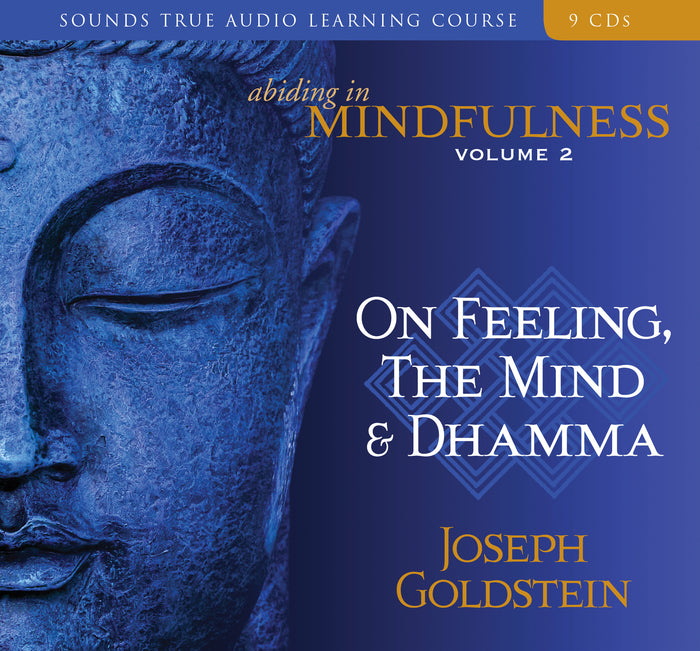 Abiding in Mindfulness Volume 2