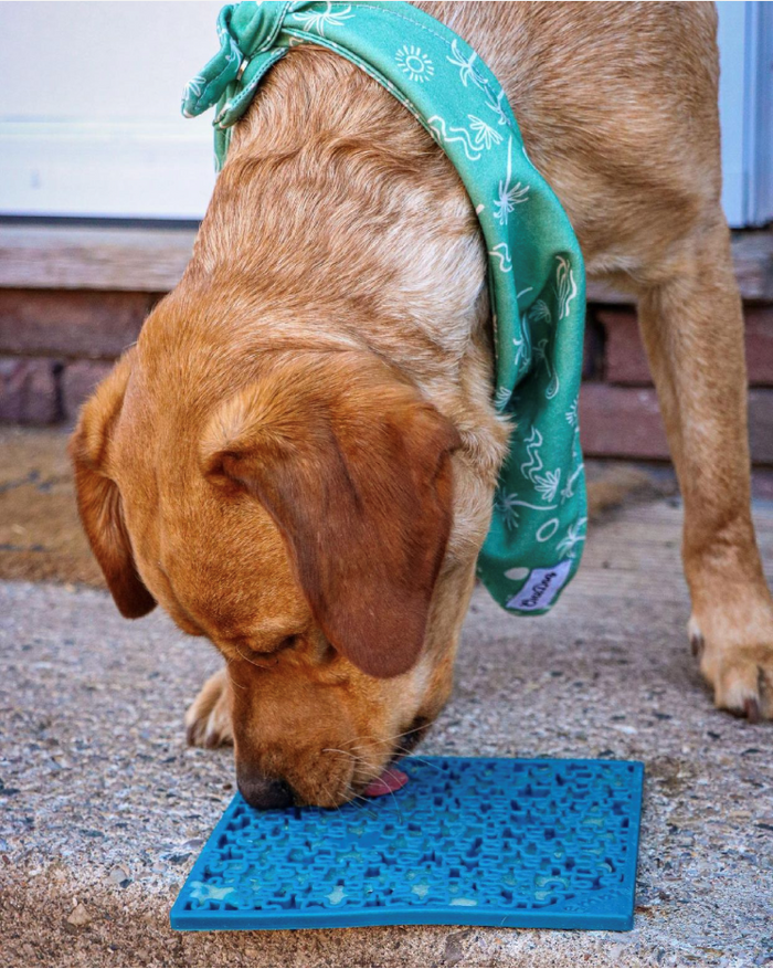 Blue & Pink Jigsaw Dog Lick Mat Bundle | 2-Pack Large Puzzle eMat | SodaPup