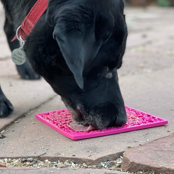 Blue & Pink Jigsaw Dog Lick Mat Bundle | 2-Pack Large Puzzle eMat | SodaPup