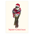 Bundled Up Kestrel Christmas Cards Nick Mayer Art