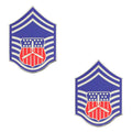 Civil Air Patrol Chevron: Cadet Senior Master Sergeant