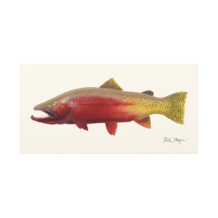 Cutthroat Trout II Canvas Print Printify
