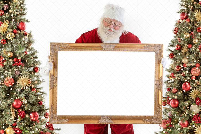 Digital Backdrop