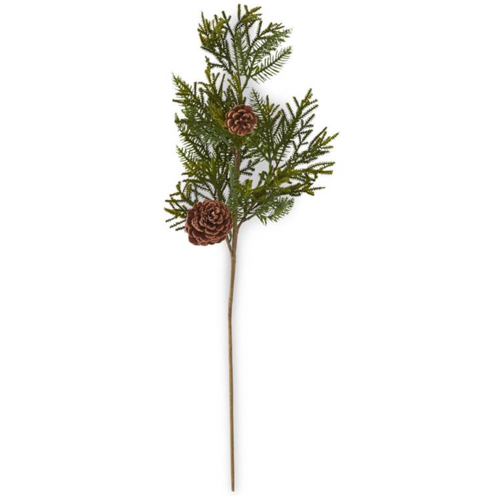 Erwin Mixed Pine Stem