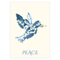 Fish of Peace Holiday Cards Nick Mayer Art