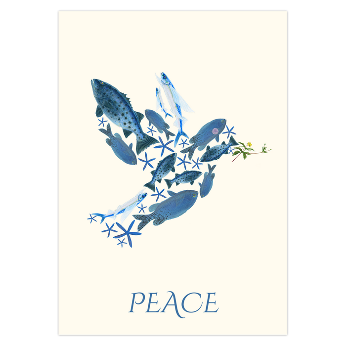 Fish of Peace Holiday Cards Nick Mayer Art