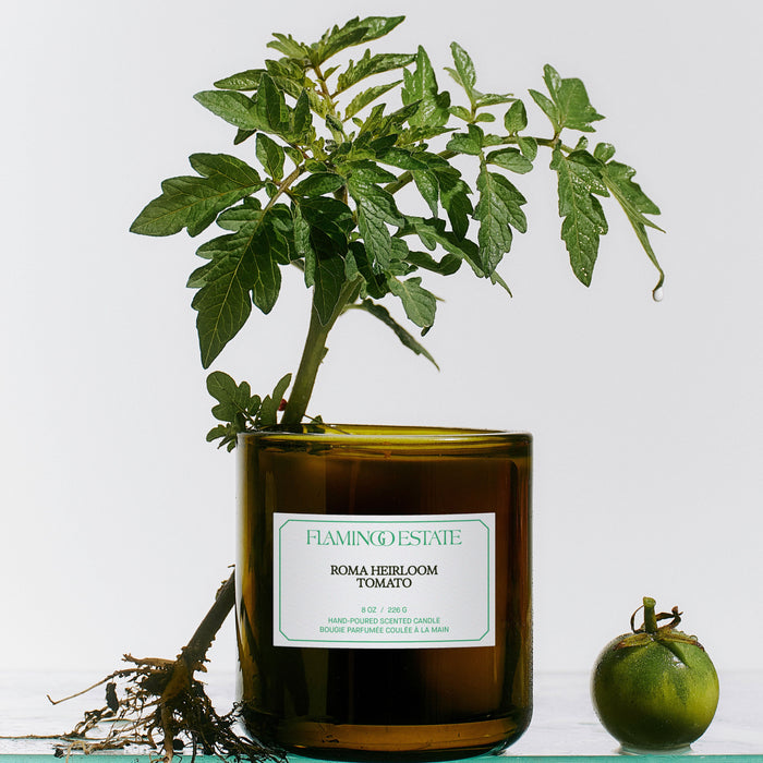 Roma Heirloom Tomato Candle - Living Beauty