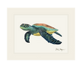 Green Sea Turtle II Limited Edition Print - NEW Nick Mayer