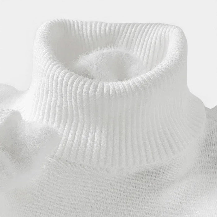 Griffin | Men's Turtleneck Wool Sweater