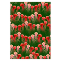 Jellyfish Garland Holiday Cards Nick Mayer Art