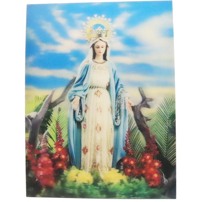 Lady of Grace - 3D Lenticular Poster - 12 X 16