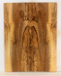 Myrtle Electric Solid Body Guitar Top