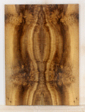 Myrtle Electric Guitar Top