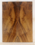 Myrtle Solid Body Guitar Top