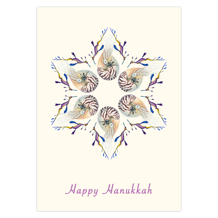 Nautilus Star of David Holiday Cards Nick Mayer Art