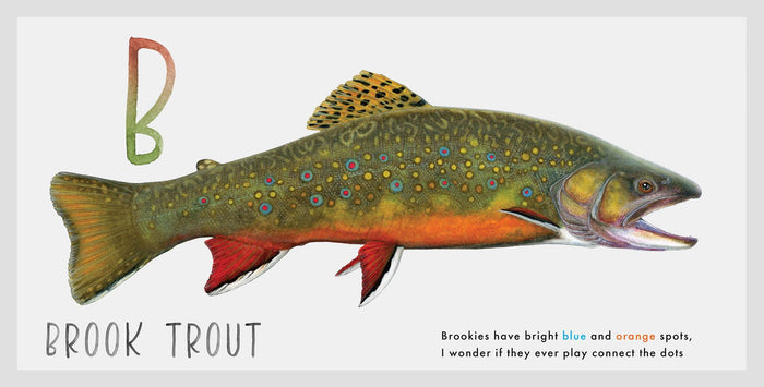 NEW Fish ABCs Book, Signed by Nick Mayer Nick Mayer Art
