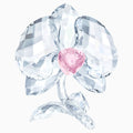 ORCHID