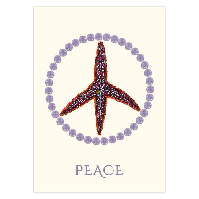 Peace in the World and Sea Holiday Cards Nick Mayer Art