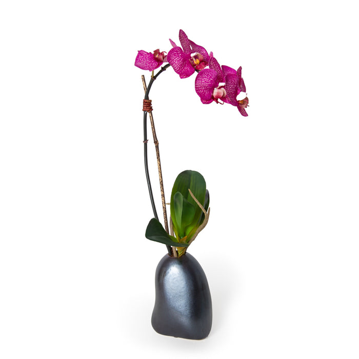 Phalaenopsis Orchid x1 in Porcelain 18"H
