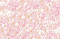 PM110 Pink Hydrangea