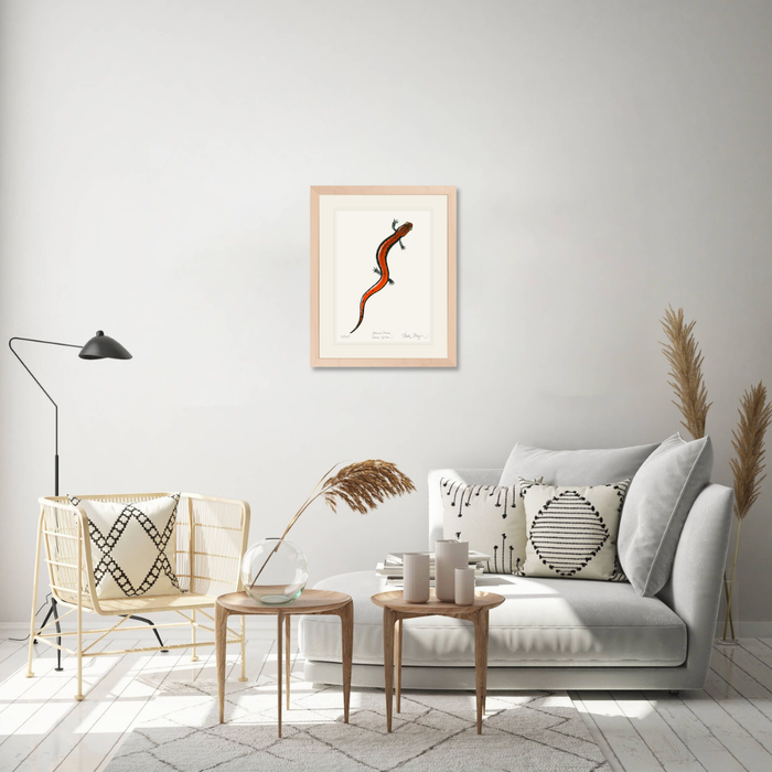 Red Backed Salamander Limited Edition Print Nick Mayer