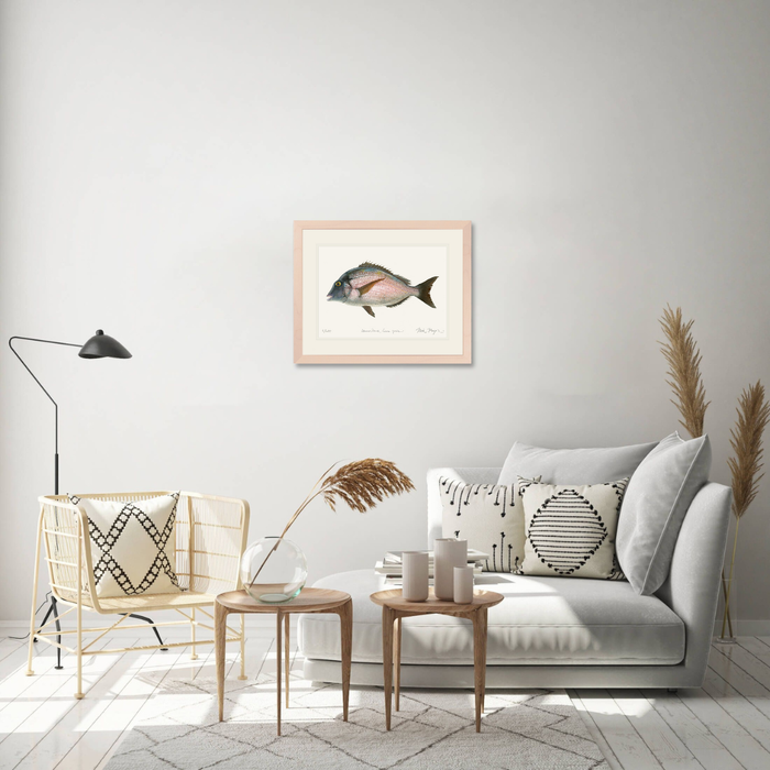 Scup Limited Edition Print Nick Mayer