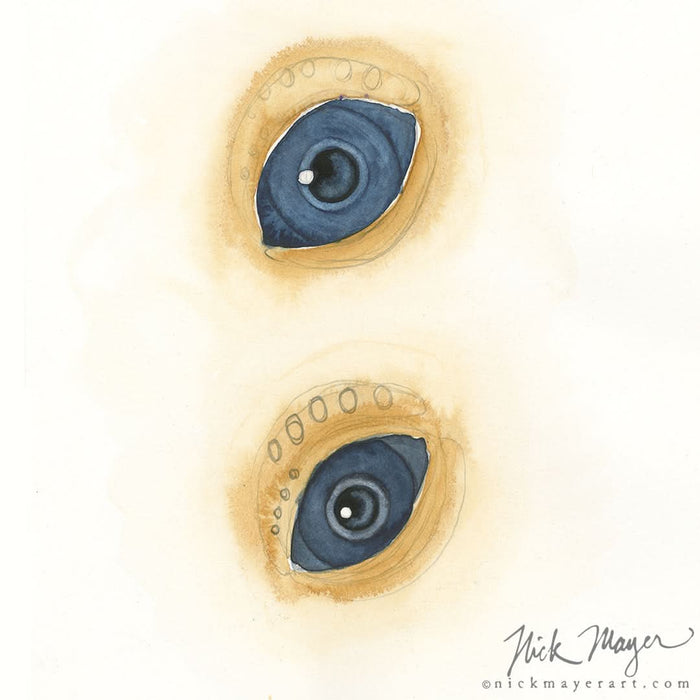 Sea Turtle Eyes, Original Study Painting Nick Mayer