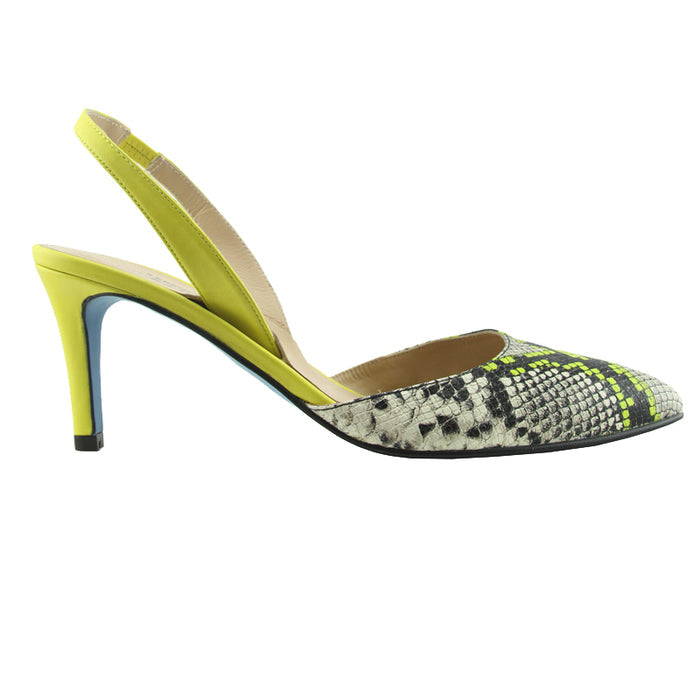 Serpent - Yellow Snake