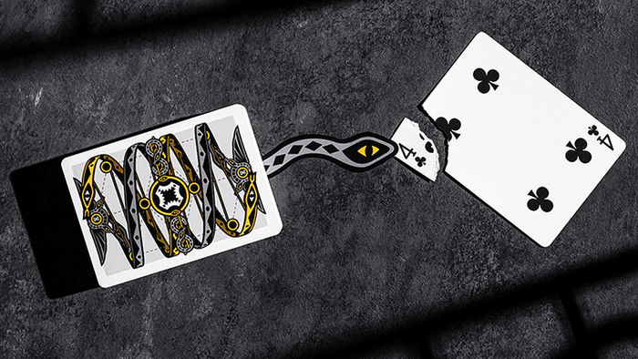 PlayingCardDecks.com-Snakes & Ladders Marked Playing Cards USPCC