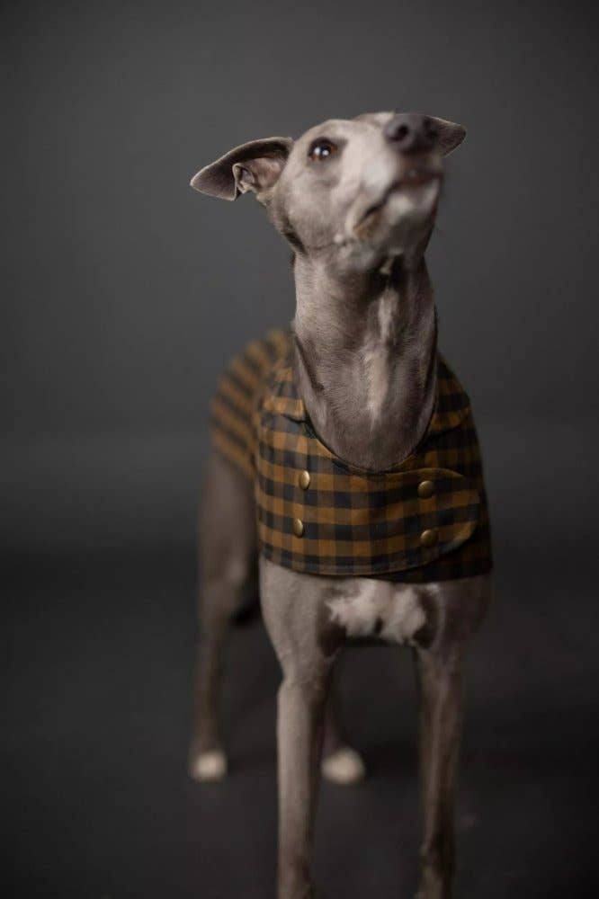 The Barka Dog Coat Pattern