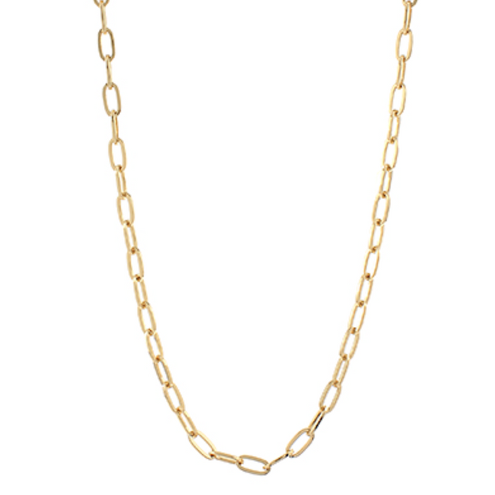 The Monroe Chain Necklace