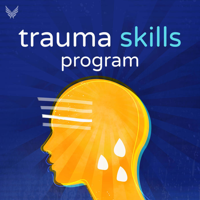 The Trauma Skills Program