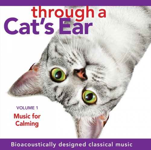 Through a Cat's Ear, Volume 1
