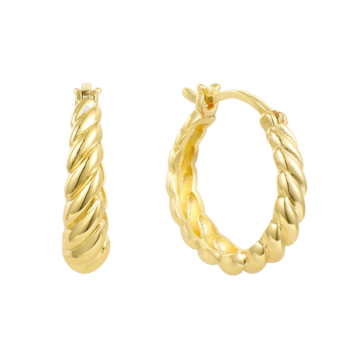 Twist Style Twisted Earrings