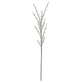 Whisper White Berry Branch